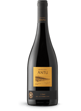 Antu Ninquen Syrah